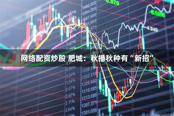 网络配资炒股 肥城：秋播秋种有“新招”