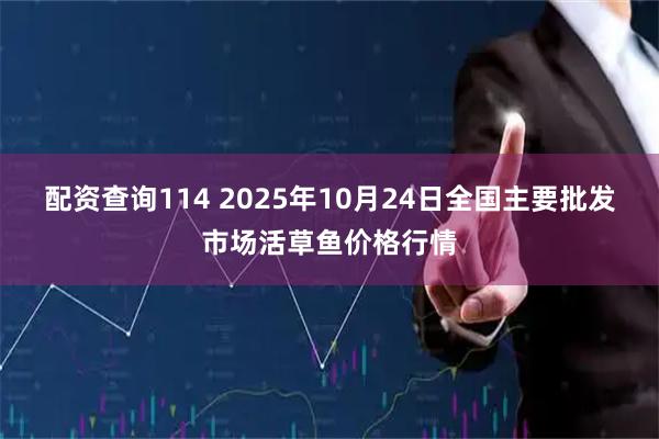 配资查询114 2025年10月24日全国主要批发市场活草鱼价格行情