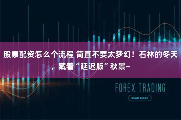股票配资怎么个流程 简直不要太梦幻！石林的冬天，藏着“延迟版”秋景~