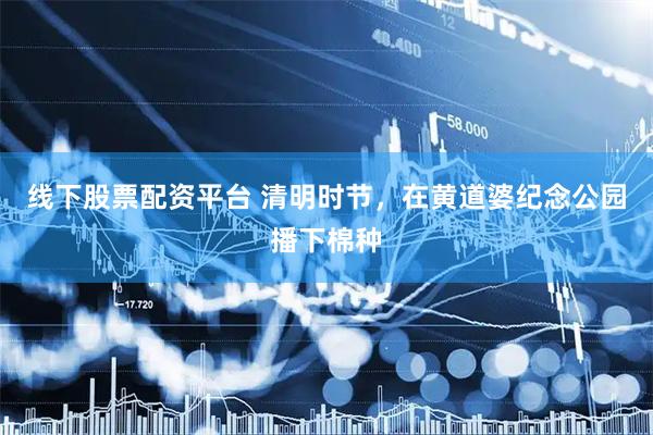 线下股票配资平台 清明时节，在黄道婆纪念公园播下棉种